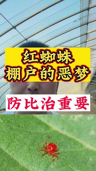 激素的作用和功效及副作用 oggMIhezkAdL3xdKAzB1jcV2fC3EDIN9DAsob8~tplv-dy-resize-origshort-autoq-75:330.jpeg?biz_tag=pcweb_cover&from=3213915784&s=PackSourceEnum_AWEME_DETAIL&sc=cover&se=false&x-expires=2009426400&x-signature=AX2mHp7rp5SbDSAB74q57hy8hBQ%3D