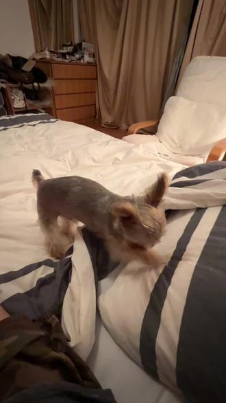 普通锅蒸米饭需要几分钟 okERIBBp74tIAHnKfekzbkcQvBFByDFAGxeYC7~tplv-dy-resize-origshort-autoq-75:330.jpeg?biz_tag=pcweb_cover&from=3213915784&s=PackSourceEnum_AWEME_DETAIL&sc=cover&se=false&x-expires=2011086000&x-signature=4fCcB120zxltYDe5LrzSmFswmG8%3D