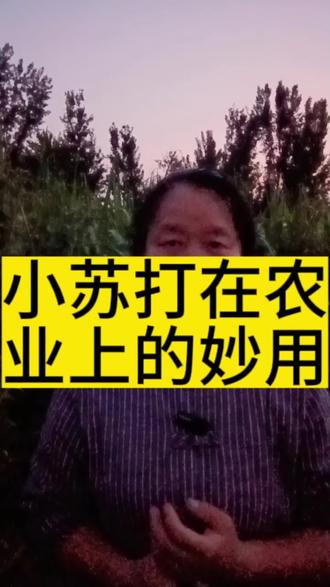 激素的作用和用途 okH1AIbnNIDf9IkAtu1yO2O93B6A2D0weClbQg~tplv-dy-resize-origshort-autoq-75:330.jpeg?biz_tag=pcweb_cover&from=3213915784&s=PackSourceEnum_AWEME_DETAIL&sc=cover&se=false&x-expires=2009426400&x-signature=PbRQfR8NF2eV1RcVTNRVIeD7YBc%3D