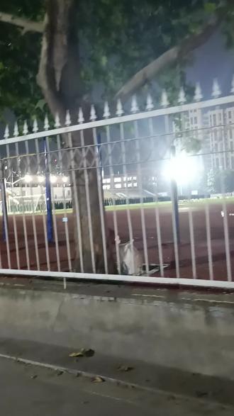 怎样上网课更有效率 okltNHHDjBAE0Ae9GAeIObkBQBAng3bEOAQnDw~tplv-dy-resize-origshort-autoq-75:330.jpeg?biz_tag=pcweb_cover&from=3213915784&s=PackSourceEnum_AWEME_DETAIL&sc=cover&se=false&x-expires=2012587200&x-signature=1u6kA%2BqXLdsRZtnT1xF5ZJsDdFo%3D