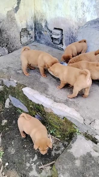 免费电视剧大全古装穿越 ooCW7R79BEbfAtpADkrgvSnZe6bBABO7vIKuEA~tplv-dy-resize-origshort-autoq-75:330.jpeg?biz_tag=pcweb_cover&from=3213915784&s=PackSourceEnum_AWEME_DETAIL&sc=cover&se=false&x-expires=2008731600&x-signature=ynbChobSwnie%2Bq%2FdVNj6L3uRKrk%3D