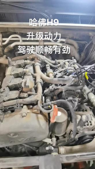 淘宝等级不够怎么提高等级 ooDIQChbNe9I3zA9UrtkUDebQ5hnlFgAABBapB~tplv-dy-resize-origshort-autoq-75:330.jpeg?biz_tag=pcweb_cover&from=3213915784&s=PackSourceEnum_AWEME_DETAIL&sc=cover&se=false&x-expires=2007921600&x-signature=fdjA3IC737oSSRKPAN9jL4NwOKw%3D