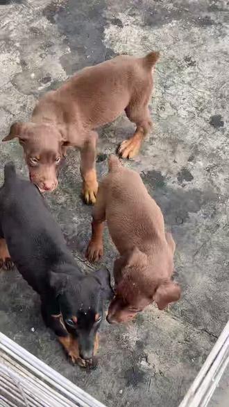 什么是法律援助律师怎么收费 ooI93HiD8aITIoVlAxCQ9kbeebhdXmANAnSBg2~tplv-dy-resize-origshort-autoq-75:330.jpeg?biz_tag=pcweb_cover&from=3213915784&s=PackSourceEnum_AWEME_DETAIL&sc=cover&se=false&x-expires=2012281200&x-signature=7eODXS3l2Do5GlyivLApDTkXibM%3D