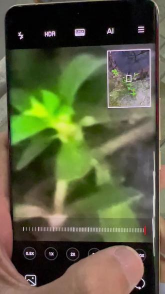 14promax哪个颜色好卖 ookiIUFAAnD8rgnTY1RBbeeZdADwzQHn9mSwJC~tplv-dy-resize-origshort-autoq-75:330.jpeg?biz_tag=pcweb_cover&from=3213915784&s=PackSourceEnum_AWEME_DETAIL&sc=cover&se=false&x-expires=2007018000&x-signature=8iT55O0efsBjVWFnLPLMyGuHsmo%3D