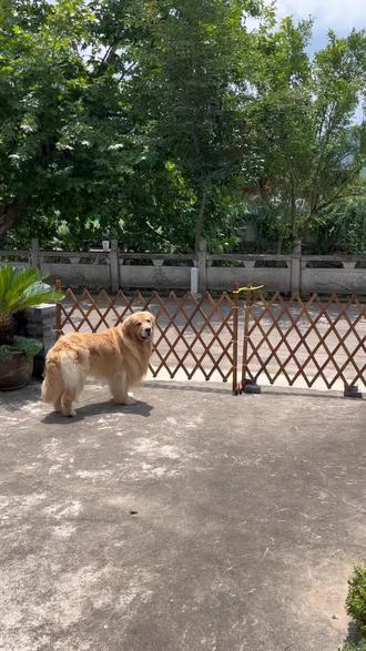 游泳决赛安排上午 osXdNEHIzUKnKBU7ght6AmD3mfunjyAAFNkeCp~tplv-dy-resize-origshort-autoq-75:330.jpeg?biz_tag=pcweb_cover&from=3213915784&s=PackSourceEnum_AWEME_DETAIL&sc=cover&se=false&x-expires=2008404000&x-signature=XIHfVjQVJx4iPbDsP6me1fXmZrU%3D