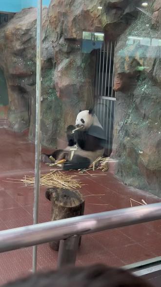 油的温度几成热怎么看 oscfYAf7esHEMxsvnPwrkDQHAIZ7IddQUBfrce~tplv-dy-resize-origshort-autoq-75:330.jpeg?biz_tag=pcweb_cover&from=3213915784&s=PackSourceEnum_AWEME_DETAIL&sc=cover&se=false&x-expires=2012072400&x-signature=a2BE%2BRG15qu%2BAj0XKWYys14B2GY%3D