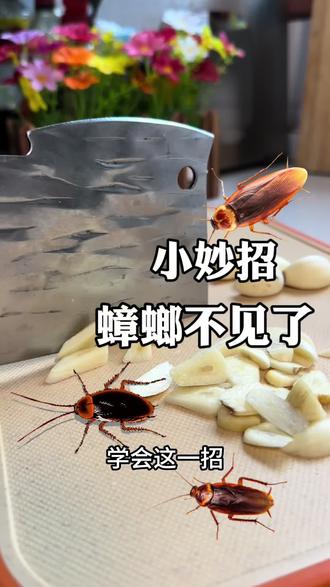 小技巧大作用你学会吗 osf5xnFFQADrgiDARANDrPuS0Iw9glemlvBxob~tplv-dy-resize-origshort-autoq-75:330.jpeg?biz_tag=pcweb_cover&from=3213915784&s=PackSourceEnum_AWEME_DETAIL&sc=cover&se=false&x-expires=2011474800&x-signature=WfQkTiWtpKPthuoyjjPDDlEx2%2Fw%3D