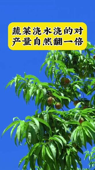 激素的作用和用途 owpAhINfgVG9AEdzkrIXWIfLAZA5CJtKB1BUzZ~tplv-dy-resize-origshort-autoq-75:330.jpeg?biz_tag=pcweb_cover&from=3213915784&s=PackSourceEnum_AWEME_DETAIL&sc=cover&se=false&x-expires=2009426400&x-signature=Kk7rLHfOu%2B2K8eV523bRjNM60kk%3D