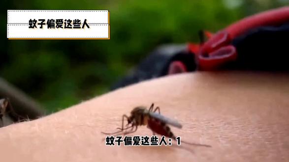 萤火虫为什么会发光的原因是什么 o8hTxkIuLbt93CzlCANJfxAEAeEJ96deBc3J5D~tplv-dy-resize-origshort-autoq-75:330.jpeg?biz_tag=pcweb_cover&from=3213915784&s=PackSourceEnum_AWEME_DETAIL&sc=cover&se=false&x-expires=2010538800&x-signature=T3UV7QmJPvPePP0Dik7wI1qN5%2BU%3D