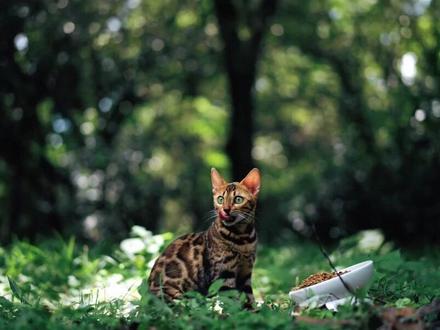 宣传片脚本范例 064dcfbe37ff8472770a75270271d870~tplv-dy-resize-origshort-autoq-75:330.jpeg?x-expires=2001859200&x-signature=v%2FU%2FXbm3aG7Tktmd1GU1bpzDmi0%3D&from=3213915784&s=PackSourceEnum_AWEME_DETAIL&se=false&sc=cover&biz_tag=pcweb_cover&l=202306120058333A7BF73475D46630AECE