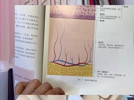 免费小说网址推荐一下 0c66964e532de442f5e7082c866f66d0~tplv-dy-resize-origshort-autoq-75:330.jpeg?x-expires=1991394000&x-signature=tlLMoXMCcynM8P4rmnRMYvM92rg%3D&from=3213915784&s=PackSourceEnum_AWEME_DETAIL&se=false&sc=cover&biz_tag=pcweb_cover&l=021676034592635fdbddc0100ff2f010a7020bf00000042febdd8