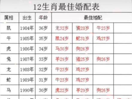 24岁属什么生肖 24岁属什么生肖属相 24岁属什么生肖配对 抖音 24岁属什么生肖 24岁属什么生肖属相 24岁属什么生肖配对 抖音
