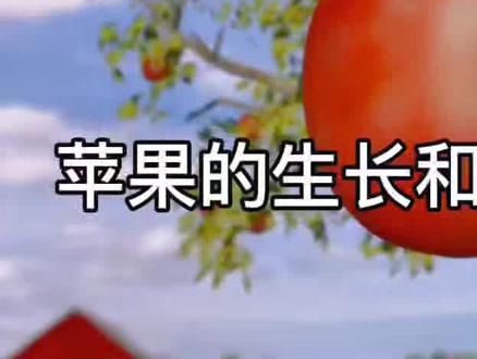 民法典内容 思维导图 11431f783ff8b75b7cae84ce2573f420~tplv-dy-resize-origshort-autoq-75:330.jpeg?x-expires=1995598800&x-signature=3GlhQFACqMUCUhbF%2BVmbVXlUvnw%3D&from=3213915784&s=PackSourceEnum_AWEME_DETAIL&se=false&sc=cover&biz_tag=pcweb_cover&l=20230331132911B9D3DD3667723710AA07