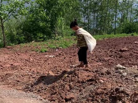 欢迎到我家来做客 1a0d6baec2c7dd920cee59b4b5833668~tplv-dy-resize-origshort-autoq-75:330.jpeg?x-expires=1982163600&x-signature=hPZTg%2BN%2FIPKriXRCytviL3R5%2FSo%3D&from=3213915784&s=PackSourceEnum_AWEME_DETAIL&se=false&sc=cover&biz_tag=pcweb_cover&l=021666805281793fdbddc01000100645b41b6166000000f95945d