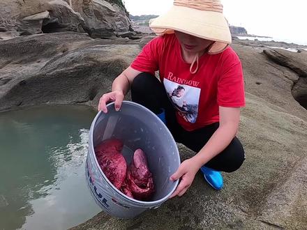 场面太壮观#新农人计划2021 #海边渔乐 #赶海 #渔家吴嫂  3s 后播放下