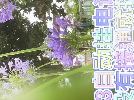 苹果手机怎么挂断别人电话 4796822da0430fc1bf0911e3fc55a46a~tplv-dy-resize-origshort-autoq-75:330.jpeg?x-expires=2016446400&x-signature=t77pFGIaojfRWxXPdNC8FrZahZ4%3D&from=3213915784&s=PackSourceEnum_AWEME_DETAIL&se=false&sc=cover&biz_tag=pcweb_cover&l=20231127203711B9653B73D410BC101BE6