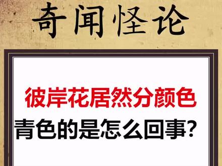 青色彼岸花 青色彼岸花真的存在吗 青色彼岸花在炭治郎家门口 抖音 青色彼岸花 青色彼岸花真的存在吗 青色彼岸花在炭治郎家门口 抖音