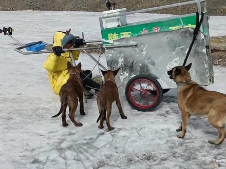 冬季挑战青藏线 #陕西西安徒步西藏 #无人区穿越 #狼牙公主发财