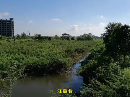 纸飞机怎么折飞得更远更久 5a2e5e04d8eedf7b3bae37fc4576ca47~tplv-dy-resize-origshort-autoq-75:330.jpeg?x-expires=1992088800&x-signature=wRPF1k7HjfoCf%2F7M1FGBGyu5cds%3D&from=3213915784&s=PackSourceEnum_AWEME_DETAIL&se=false&sc=cover&biz_tag=pcweb_cover&l=2023021822321045E621DE4319F5ECEEC9