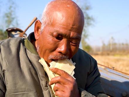 农民苦,农民难,今年一年又白忙#粒粒皆辛苦#看看农民苦不苦#种地不