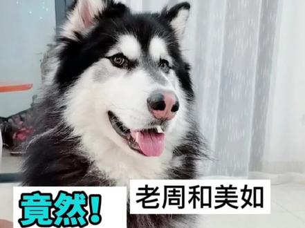 周小俊78宠萌在抖音记录美好生活20220204 - 抖音