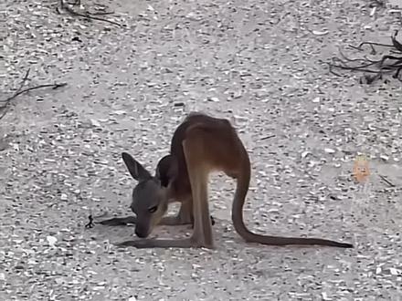 大理药业主要是做什么的 883938281497291b7b639618a4facd67~tplv-dy-resize-origshort-autoq-75:330.jpeg?x-expires=1988298000&x-signature=sKsaD3GrB1vmJldaE7XA%2FuKLkF8%3D&from=3213915784&s=PackSourceEnum_AWEME_DETAIL&se=false&sc=cover&biz_tag=pcweb_cover&l=021672941037799fdbddc02002005381242112f4000007124f57a