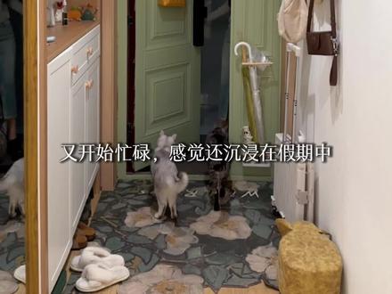 小蓝鸟在哪里观看 89ea55e7013038426d80f72d74449e2f~tplv-dy-resize-origshort-autoq-75:330.jpeg?x-expires=2025086400&x-signature=T9%2B4l93VNlck24odRDqbFsqMJOY%3D&from=3213915784&s=PackSourceEnum_AWEME_DETAIL&se=false&sc=cover&biz_tag=pcweb_cover&l=2024030620380293E546C494E2351BCAF7