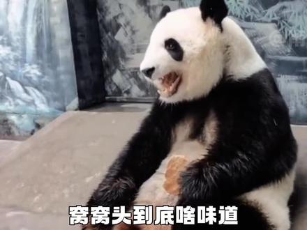 窝窝是什么做的 8ed30dab240b363113d5338c94cefac1~tplv-dy-resize-origshort-autoq-75:330.jpeg?x-expires=2016032400&x-signature=9yu%2BYqY3U6daa%2Bz5lygMeR8eOCA%3D&from=3213915784&s=PackSourceEnum_AWEME_DETAIL&se=false&sc=cover&biz_tag=pcweb_cover&l=20231123010120F3301664A073762E4320