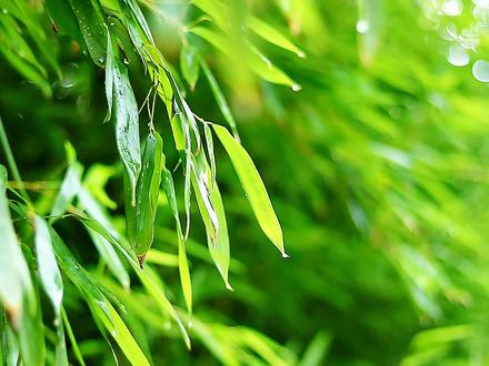 讲故事的背景音乐纯音乐 bcf36b1063138b993d0aab3267920dcd~tplv-dy-resize-origshort-autoq-75:330.jpeg?x-expires=1999710000&x-signature=BuLM%2FLNrxjHoJ57aUABTtt%2FOu0A%3D&from=3213915784&s=PackSourceEnum_AWEME_DETAIL&se=false&sc=cover&biz_tag=pcweb_cover&l=202305180332228DDF8B9A5B6F4A376996
