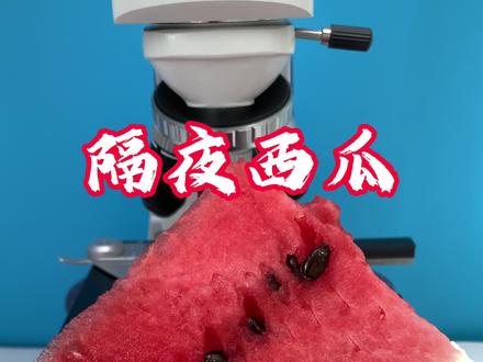 芒果能放冰箱保存后能吃吗 c095123a84d2cc0cfe2a6bc15a379b6c~tplv-dy-resize-origshort-autoq-75:330.jpeg?x-expires=2013750000&x-signature=S3wCMl5erkHsJnXS%2FaEiVK98cns%3D&from=3213915784&s=PackSourceEnum_AWEME_DETAIL&se=false&sc=cover&biz_tag=pcweb_cover&l=202310271500541D2851F507D905004F07