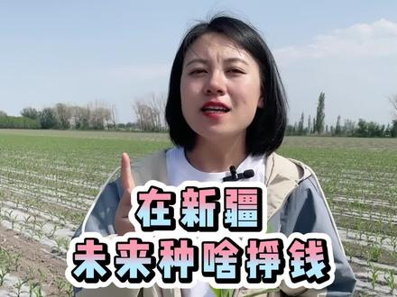 现在怎么挣钱最好 ce5867ee6cd75530070ebd31584c8ec9~tplv-dy-resize-origshort-autoq-75:330.jpeg?x-expires=2005855200&x-signature=8J0XTyeQFb42R8Lt1SpmN5tYAas%3D&from=3213915784&s=PackSourceEnum_AWEME_DETAIL&se=false&sc=cover&biz_tag=pcweb_cover&l=202307280634339A365F13553DCE404033