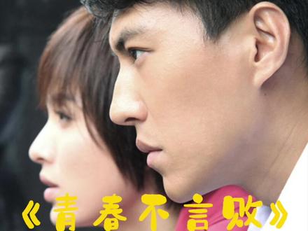 穷小伙变成副总裁不忘初心靳东青春不言败电视剧解说