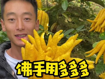 灯笼鱼长什么样 ec87316ba81ea3225a90f1af893a0805~tplv-dy-resize-origshort-autoq-75:330.jpeg?x-expires=2015971200&x-signature=LMFZLqSiPEl0yPYybfe2e%2F7H5JA%3D&from=3213915784&s=PackSourceEnum_AWEME_DETAIL&se=false&sc=cover&biz_tag=pcweb_cover&l=2023112208282039967C69600D3148EEF6