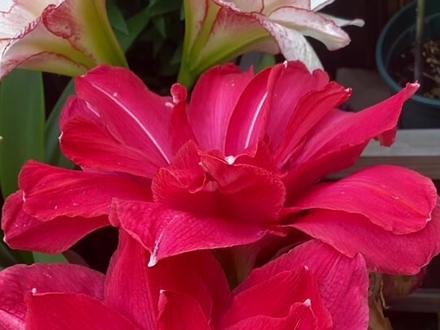 小技 ef832763e6dbc7577503f256856db60d~tplv-dy-resize-origshort-autoq-75:330.jpeg?x-expires=1992200400&x-signature=xvyxgQdwGayAzCXwuk2G3a9%2Buec%3D&from=3213915784&s=PackSourceEnum_AWEME_DETAIL&se=false&sc=cover&biz_tag=pcweb_cover&l=021676842787796fdbddc02000101645941b6166000003f2e2e4a