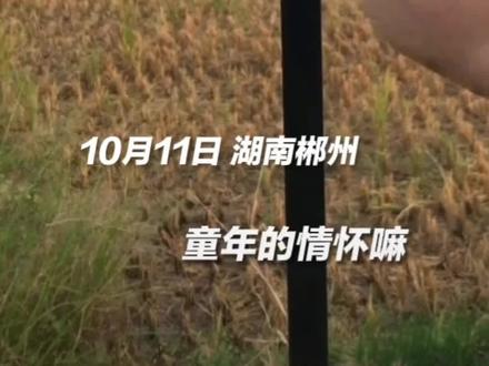 鱼跃而上完整版 f7dbb596301a217d1b851d670738228b~tplv-dy-resize-origshort-autoq-75:330.jpeg?x-expires=1996894800&x-signature=Q%2BGEP0M9Nb42K6e2FaNk99gEORo%3D&from=3213915784&s=PackSourceEnum_AWEME_DETAIL&se=false&sc=cover&biz_tag=pcweb_cover&l=021681536103927fdbddc01000a00838641b616600000a7d7fdcf