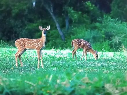 谷歌浏览器为什么打不开新标签页 fedf758cc43784453f834fc35efaa1d6~tplv-dy-resize-origshort-autoq-75:330.jpeg?x-expires=2012857200&x-signature=pv2RhZXrRo4Qa73ivHNUo2tFU%2FU%3D&from=3213915784&s=PackSourceEnum_AWEME_DETAIL&se=false&sc=cover&biz_tag=pcweb_cover&l=202310170709421C65999104CF4F397102