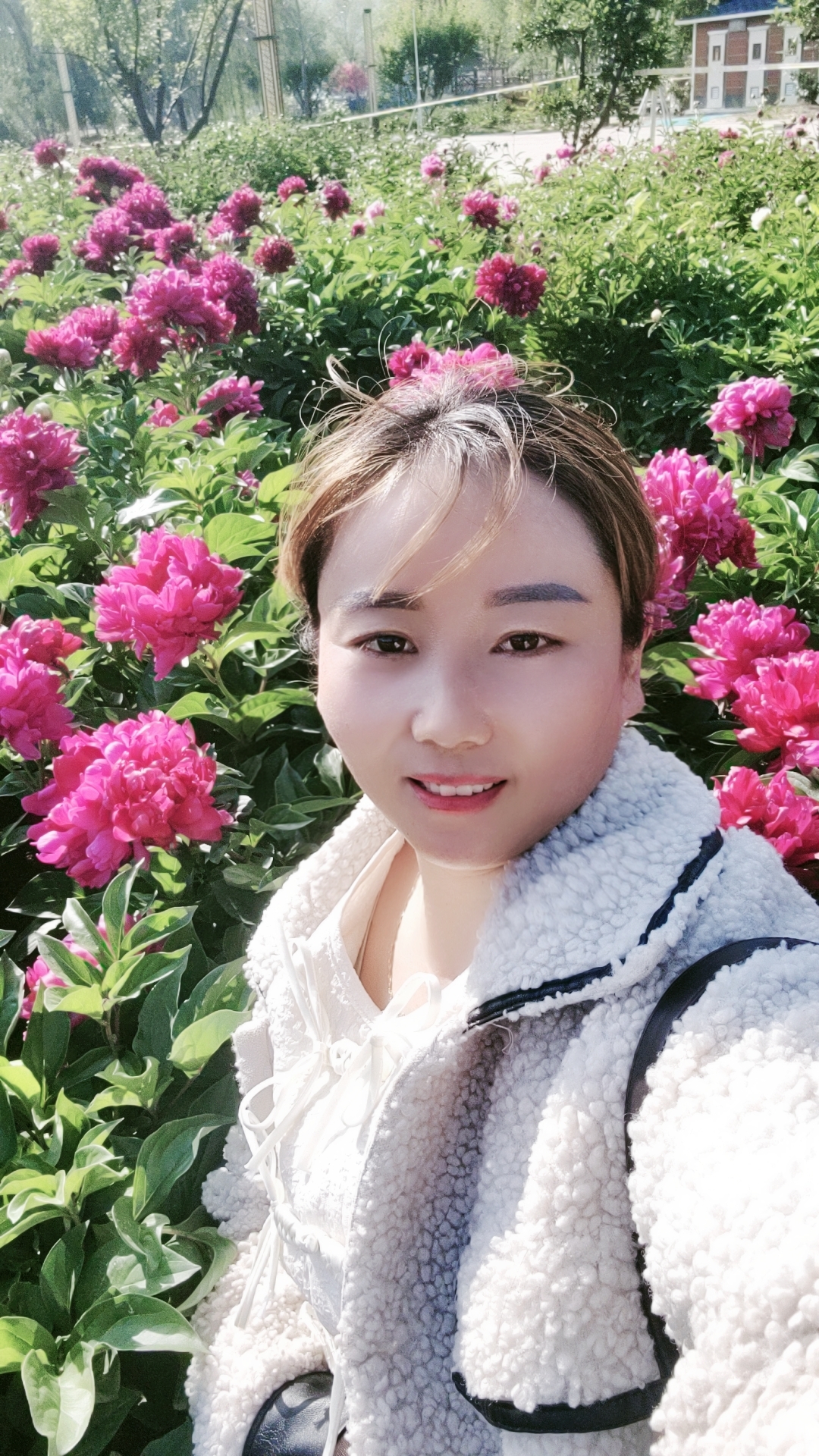 抖音直播依林=抖音上的依林依旧是什么人