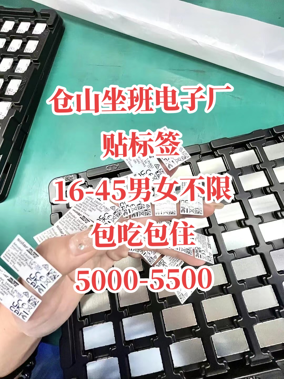 贴标签 16-45男女不限 包吃包住 5000-5500#同城招聘找工作 #普工招聘