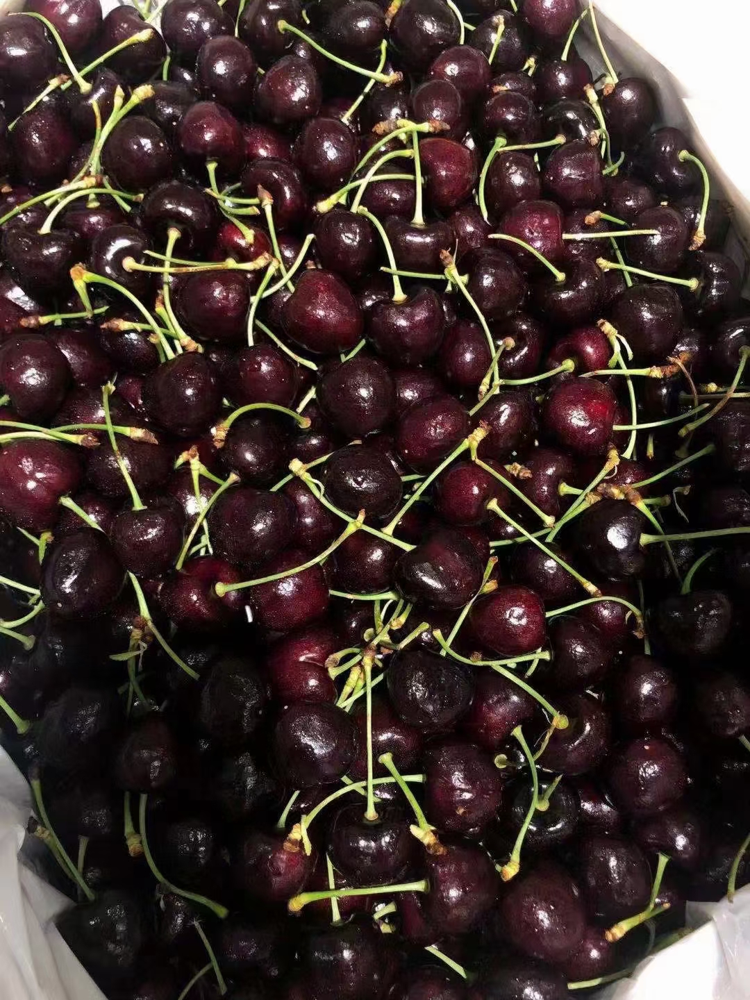 绿叶水果唐姐姐:加拿大车厘子