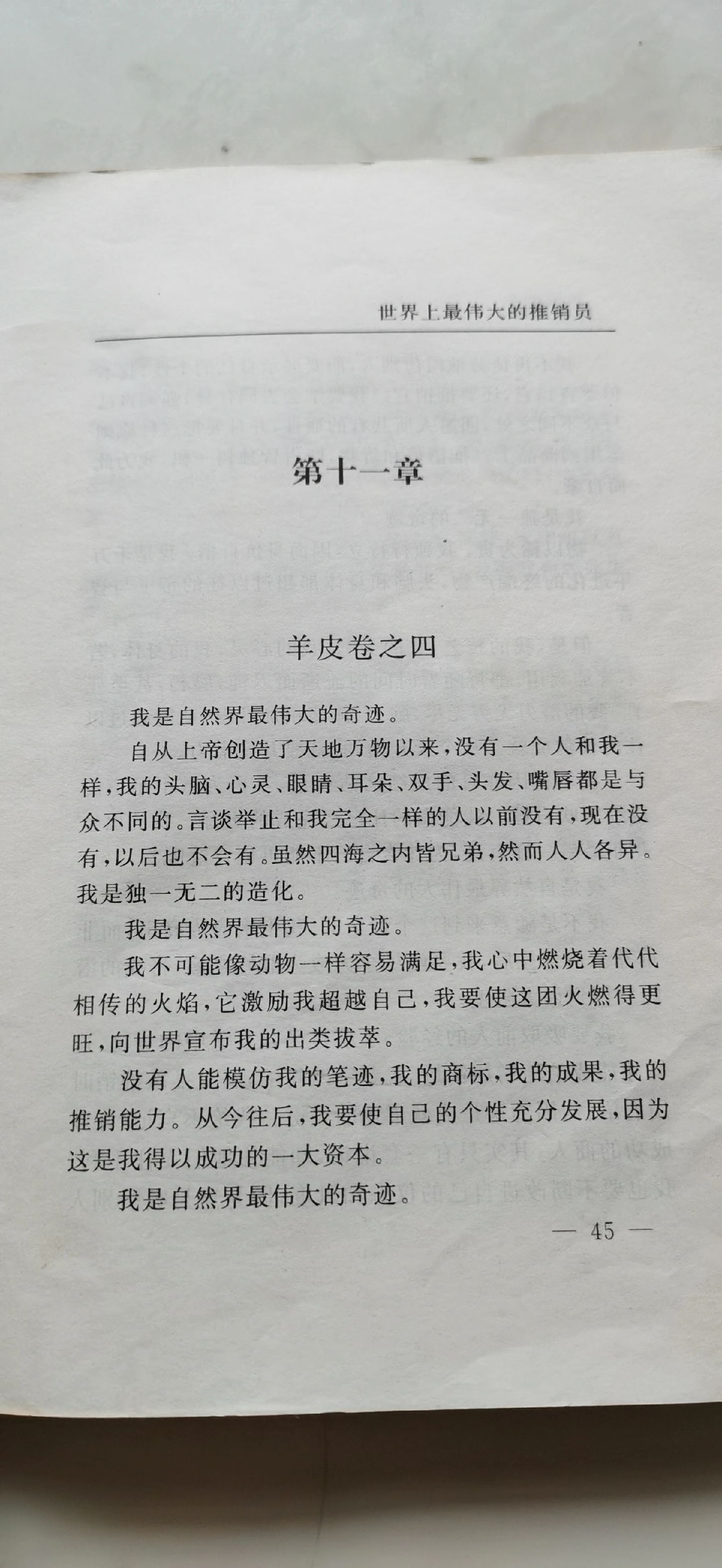 仍是少年:羊皮卷之四.
