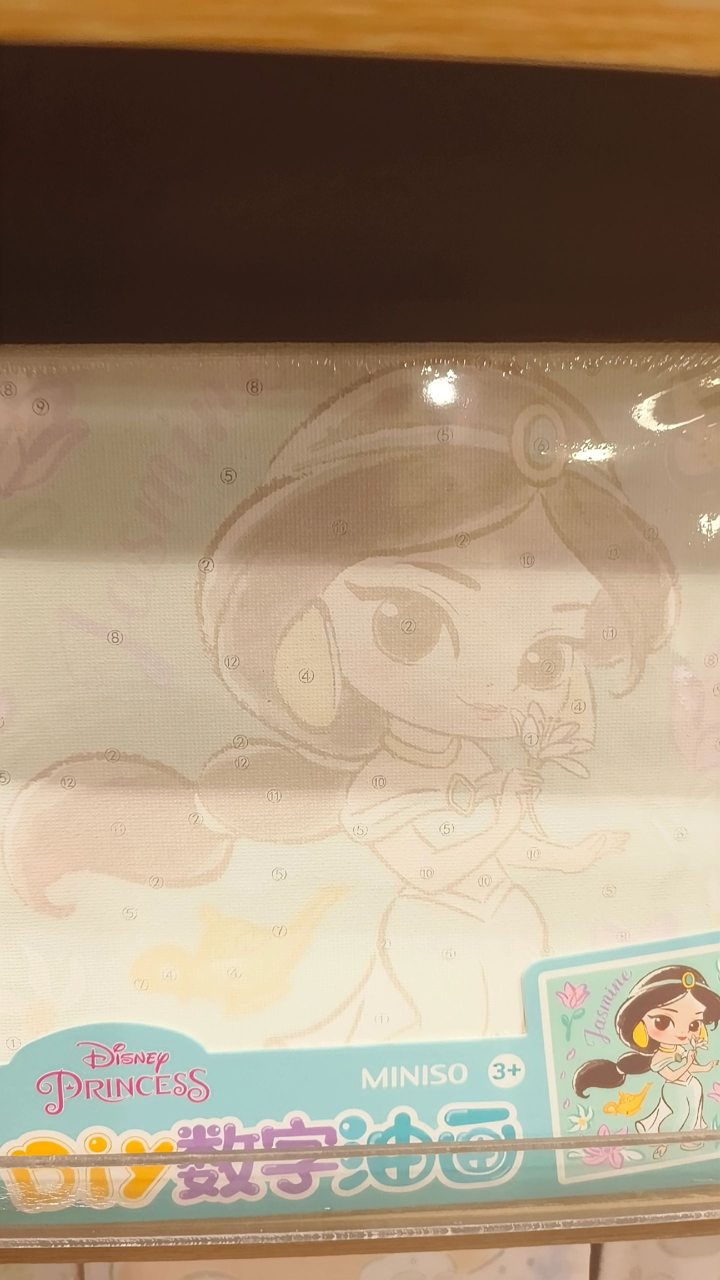 名创优品迪士尼梦幻公主联名款数字油画,培养小朋友的动手能力#今天买