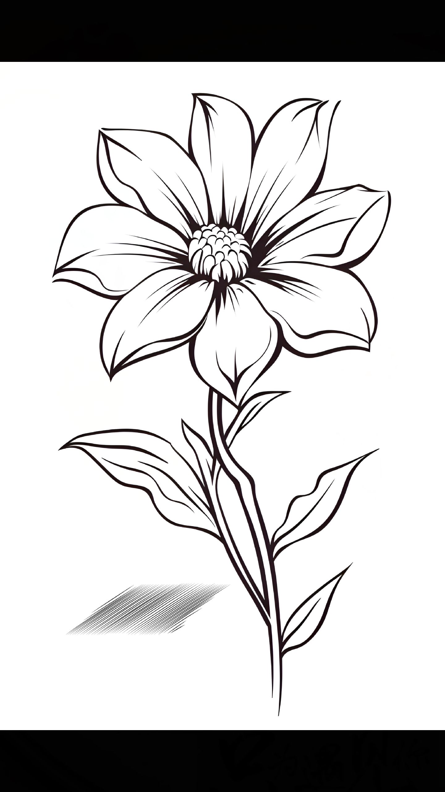 看多了五彩的花,不妨看看这素描的菊花