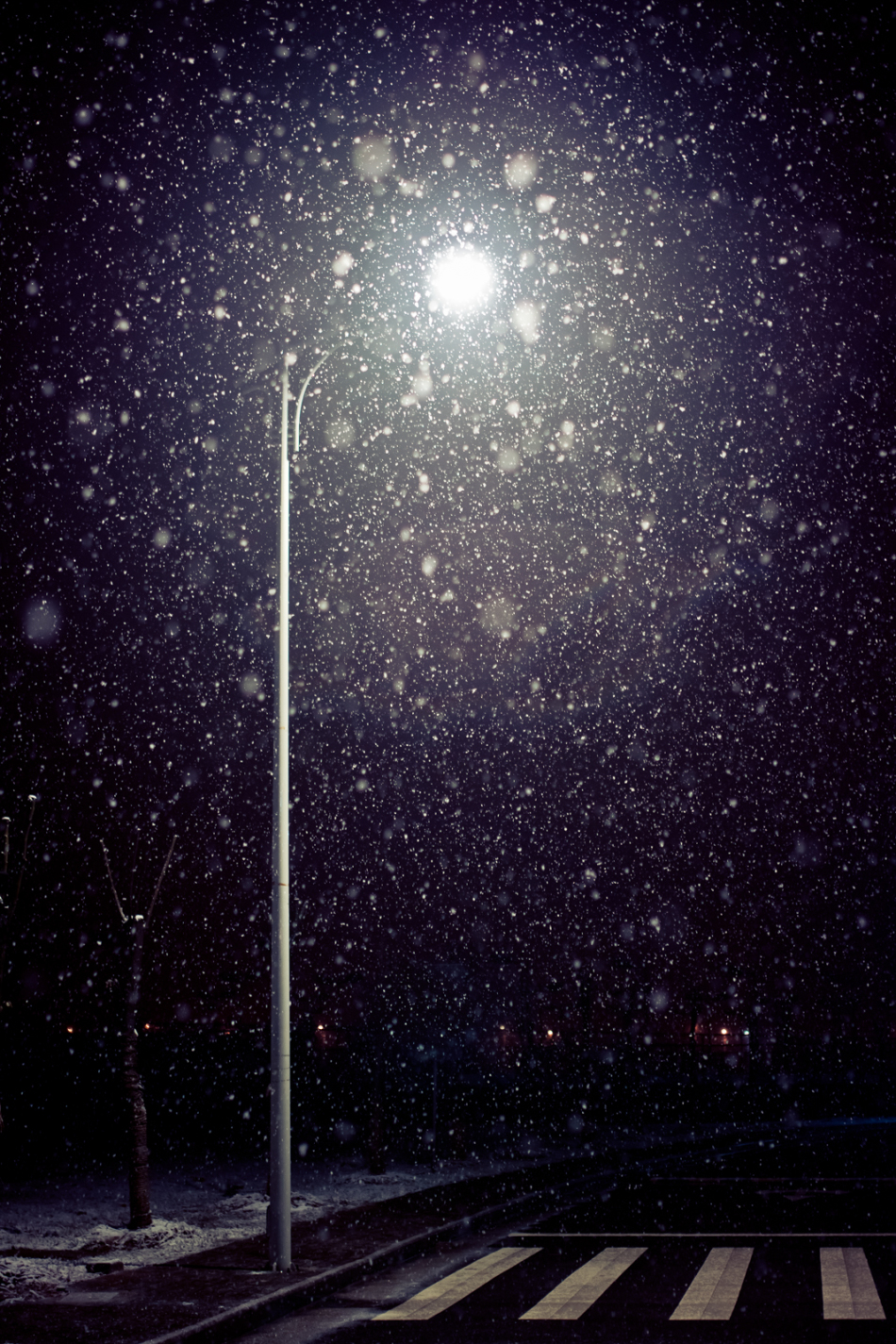 南塬:寒夜 南塬  楼栏倚空恨,归梦每相违. 寂寂长街夜,纷纷大雪飞.