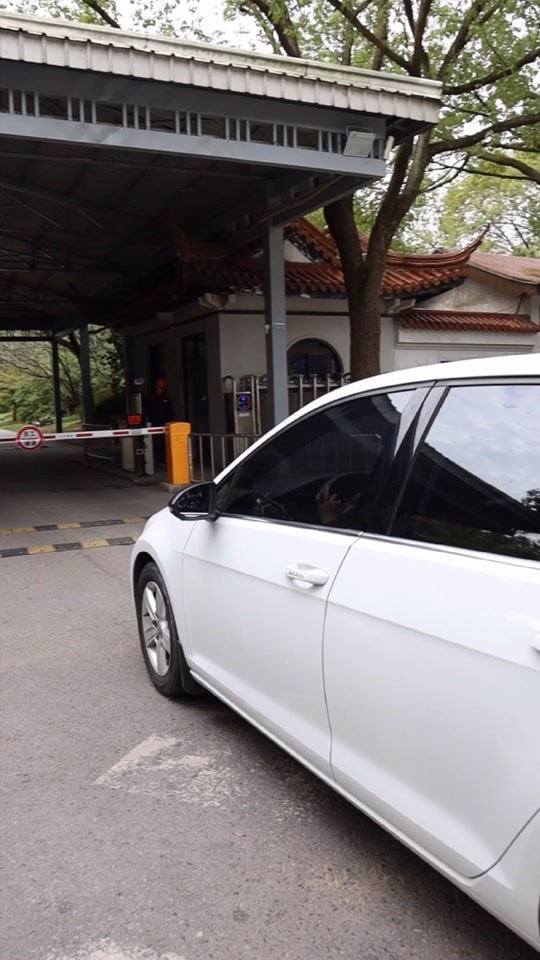 樱花山庄1000块拼图的过程 - 抖音