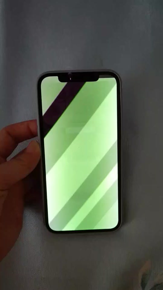 iphone12绿屏闪屏 #苹果手机 #屏幕