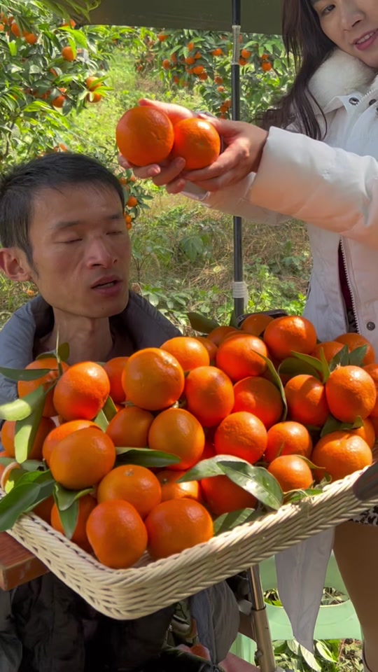 欣哥的美好时光