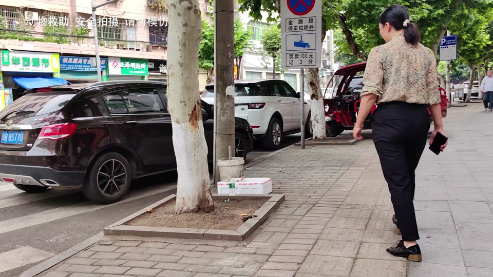老疯杨砖头现在怎么样了 - 抖音