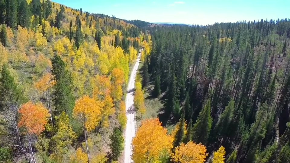 新冠可以扛过去吗2021年 - 抖音