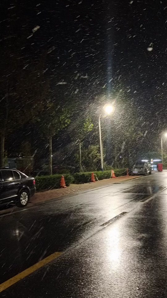 2023年11月11日凌晨 济宁的第一场雪#2023第一场雪 #你的城市下雪了吗