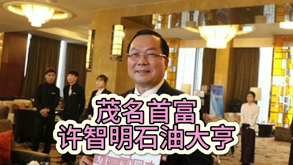 许智明身价有多少个亿 - 抖音